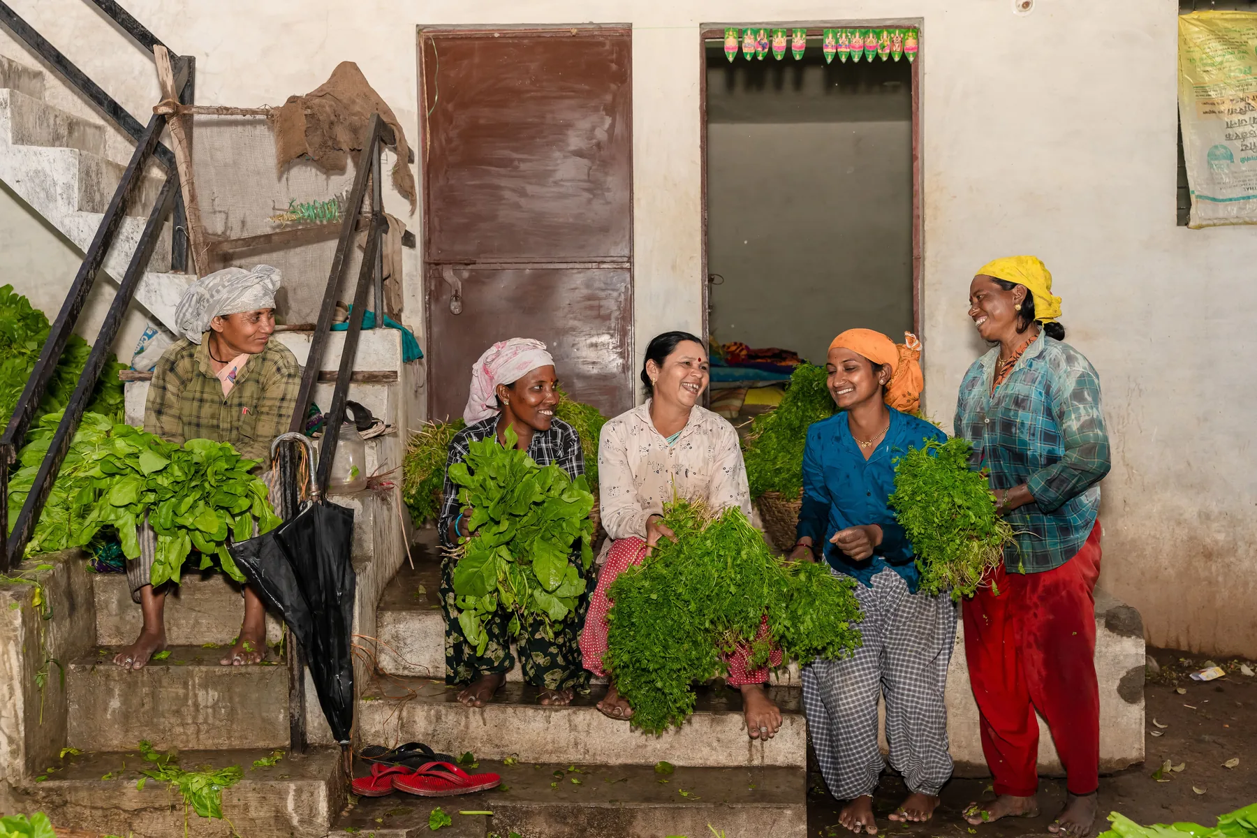Indian farmers holding fresh leafy produce