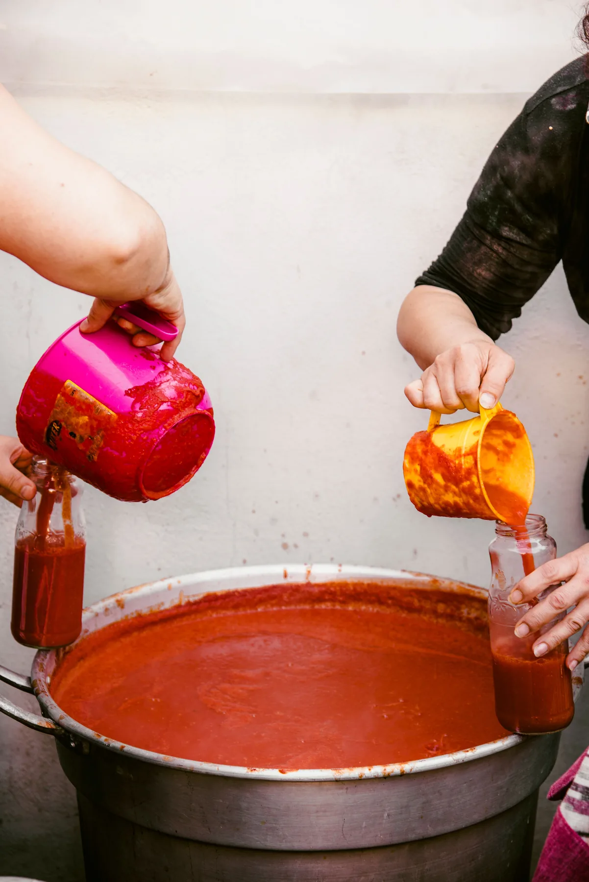 Tomato mixture representing vegetable pulp